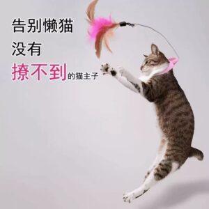 Cat Toy Cat Toy Hanging Neck Cat Toy Cat Toy Self-Hi Cat Toy Cat Toy Cat Toy With Feather And Bell Interactive Cat Collar